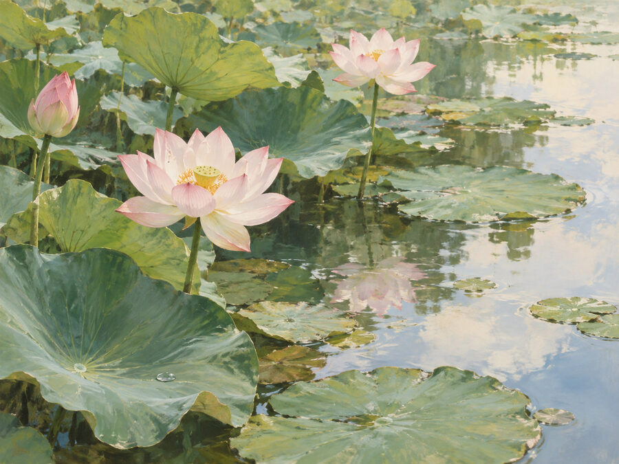 《荷塘清晝》——荷塘與蓮花畫作